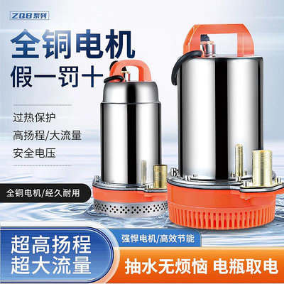 ZQB家用小型直流潛水泵電瓶車抽水泵12V24V48V60V高揚程電瓶泵
