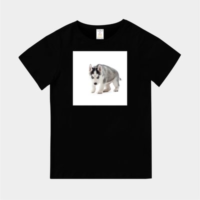 T365 MIT 親子 童裝 情侶 T恤 T-shirt 短T 狗 DOG 汪星人 哈士奇 二哈 Husky 毛孩