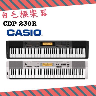 《白毛猴樂器》88鍵電鋼琴 CASIO CDP-230R 卡西歐