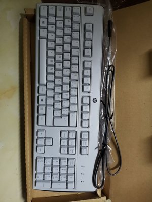 原裝惠普HP KU-0316 USB鍵盤 白色
