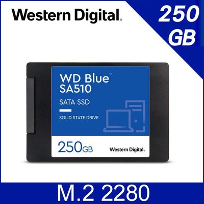☆偉斯科技☆全新 公司貨 WD 藍標 SA510 250GB 2.5吋 SATA SSD 固態硬碟