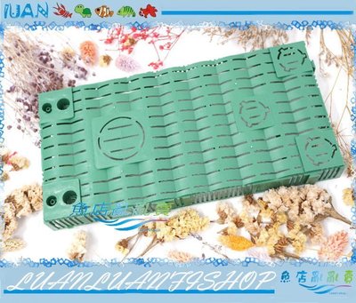 【~魚店亂亂賣~】組合式綠色底板簡易型底部過濾板27.5×14cm(過濾浪板.底版過濾)