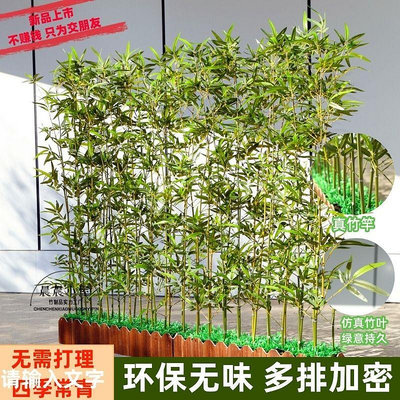 仿真綠植仿真竹子室內外裝飾假竹子植物造景仿生景觀綠植遮擋加密落地竹林造景