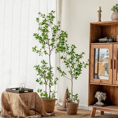 侘寂風仿真綠植冬青樹室內客廳裝飾落地假植物盆栽櫥窗造景擺件滿減 促銷 夏季
