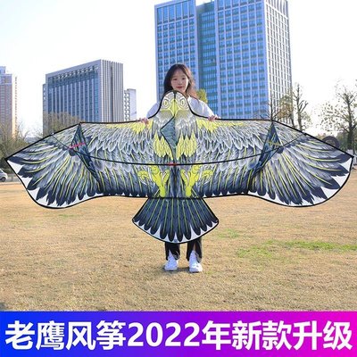 下殺 老鷹風箏大人專用網紅兒童微風易飛202122年新款大型高~滿減 優惠 限時