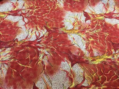 【傑美屋-縫紉之家】日本原裝進口棉布~花布#L556012拼布配色好幫手#60*55CM