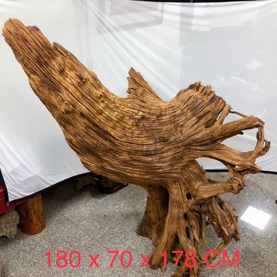 台灣紅豆杉－鳳凰展翅、屏風、擺件、天然