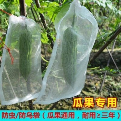 上新 苦瓜套瓜網袋防果蠅瓜果套袋包絲瓜黃瓜包裝袋子蔬菜防蟲紗網防鳥防蟲袋~特賣