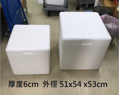 現貨 國外進口 高密度保麗龍 箱 盒 51x54x53cm 厚度6cm  可面交 送冰寶