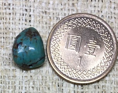 G152天然綠松石/土耳其石0.7g(都是現品)