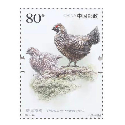 新品 2021-28 國家重點保護野生動物郵票三 8-1斑尾榛雞80分單枚郵票促銷 可開發票