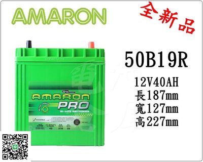 ＊電池倉庫＊全新愛馬龍AMARON汽車電池 50B19R(36B20R加強版)