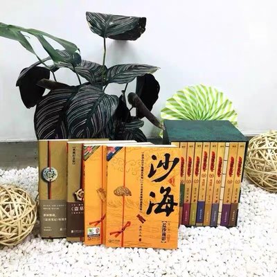 盜墓筆記1-8集全套9冊+藏海花大漠蒼狼典藏版十年共13冊南派三叔大結局懸疑驚悚恐怖小說沙海鬼吹燈懸疑探險