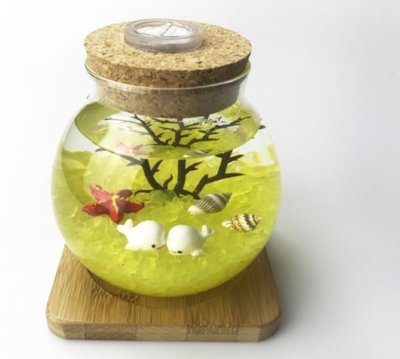 小號 10cm帶燈玻璃瓶 海藻球生態瓶 LED燈(一組) 微景觀生態瓶DIY水培植物創意辦公室盆栽禮物套裝夜光魚缸