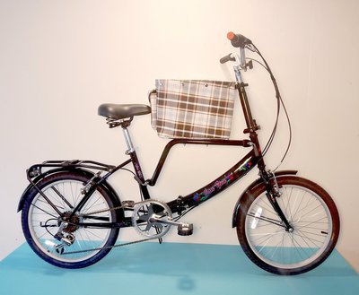 JY (豪華版) 20吋 6速 (中籃) 寵物自行車 SHIMANO (白/粉紅/紅/黑色) 拆掉橫座變淑女車 寵物籃