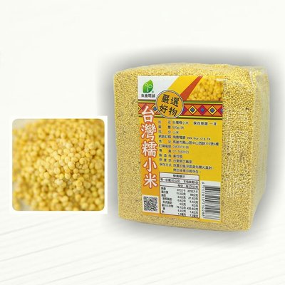 台灣糯小米(粟)，高營養小米蛋白，早期台灣原住民的主食