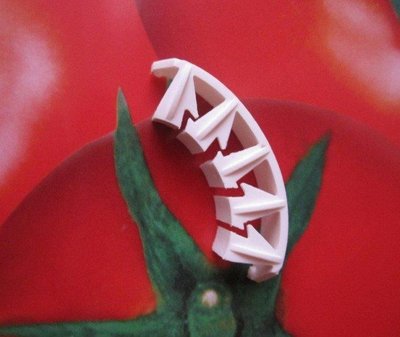 [樂農農] 現貨供應中 可回收數年循環使用 番茄果柄保護夾 番茄果柄夾 避免番茄花穗柄彎折
