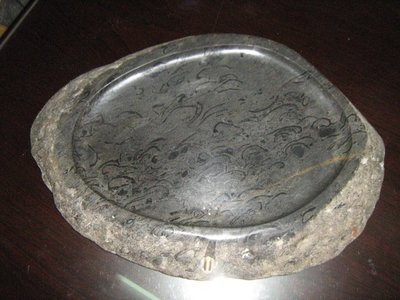 濁水溪   黑貝殼化石茶盤.....稀有