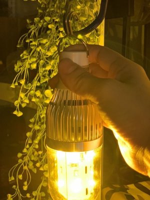 5W LED 台灣製造LED行動驅蚊燈 捕蚊燈 電蚊拍