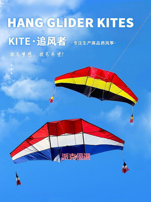 精品新款追風者滑翔機風箏微風易飛大型成人立體傘布碳素桿雷達抗大風