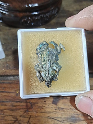 【二手】銀溜金青蛙，歲月的磨痕，標本24882【百草巷】古玩 收藏 古董
