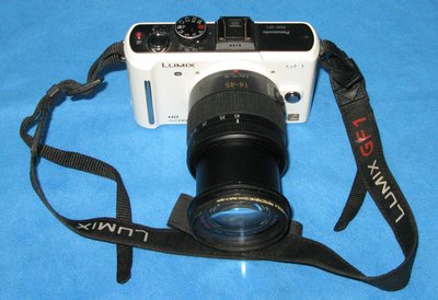 Panasonic LUMIX DMC-GF1 單眼相機 含 H-FS014045 鏡頭