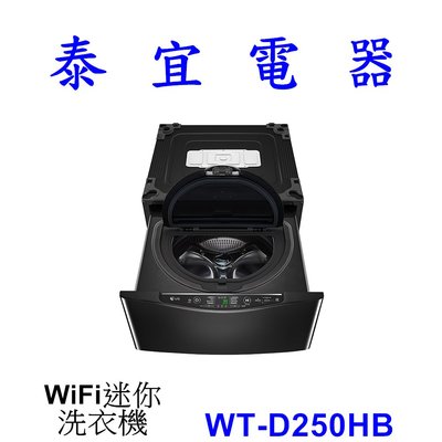 【泰宜電器】LG 樂金 WT-D250HB WiFi 迷你洗衣機 【可搭WD-S19VBW】