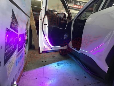 【小鳥的店】豐田 2019-2021 5代 RAV4 車門警示燈 迎賓燈 3528晶體 台製 客製 門縫燈 紫色 冰藍