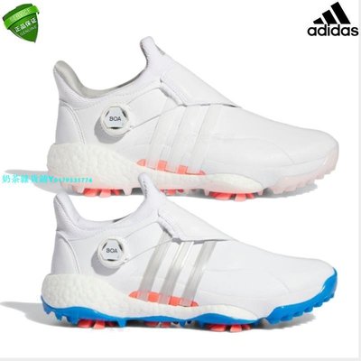 原裝正品 Adidas GY5342 新款女士高爾夫球鞋 防水帶釘 舒適BOA