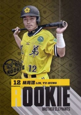 2012 中華職棒 年度球員卡 兄弟象 新人卡 rookie  林育鴻 RC24 散包限定