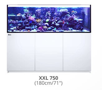 ◎ 水族之森 ◎ 以色列Red Sea 紅海REEFER™ 750 180X65X60cm 超白玻璃 套缸組（白色）