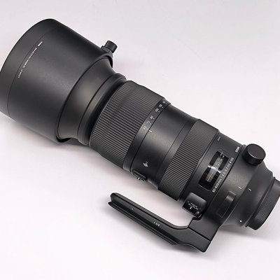 極新 SIGMA 60-600mm F4.5-6.3 S DG OS HSM S版 Canon EF 60-600