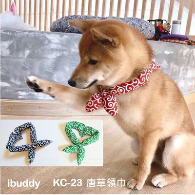 現貨♛ iBuddy 項圈【KC-23】唐草領巾 頸圍25-45公分 ✪狗領巾  貓領巾