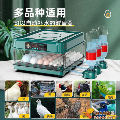 水床鴨鵝小蘆丁雞孵化器孵蛋器孵蛋機孵化箱小型家用型全自動智能-QAQ囚鳥