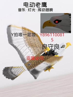 正品 仿真吊線鳥 能飛會叫的老鷹鸚鵡 發光發聲電動掉線飛鷹 動物玩具