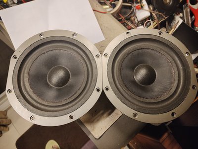 (老高音箱)B&amp;W DM309 中低音/低音單体各一顆