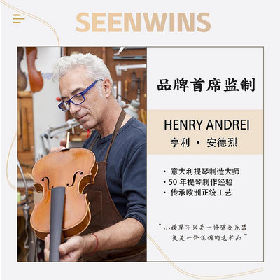 樂器SEENWINS圣維斯SW008歐料純手工小提琴兒童考級成人演奏樂團比賽