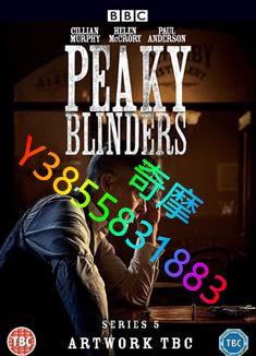 DVD 專賣店 BBC:浴血黑幫第五季/Peaky Blinders Season 5