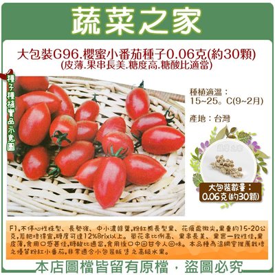 【蔬菜之家滿額免運00G96】大包裝.櫻蜜小番茄種子0.06克(約30顆)※不適用郵寄掛號※