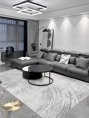 高級輕奢客廳地毯家用臥室沙發茶幾毯2024新款北歐風定製進門地墊三姨小屋