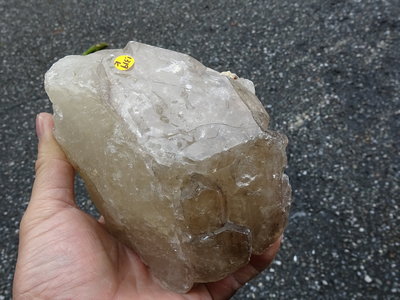 ~shalin-crystal~手握式~超完整優質巴西鱷魚骨幹水晶~1.319公斤~能量優質~一元起標!