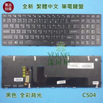 【漾屏屋】含稅 CJSCOPE 喜傑獅 SX-570 SX570 6-80-P65S0 全彩背光 繁體 中文 筆電 鍵盤