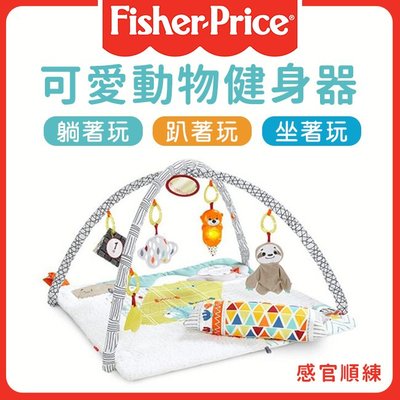 美國Fisher Price費雪 感官順練可愛動物健身器/健力架/遊戲毯✿蟲寶寶✿