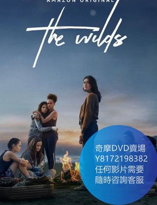 DVD 海量影片賣場 荒野/The Wilds  歐美劇 2020年