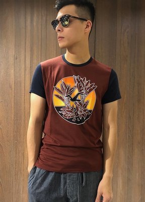 美國百分百【Hollister Co.】T恤 HCO 短袖 T-shirt 海鷗 logo 復古 暗紅 特價 G921