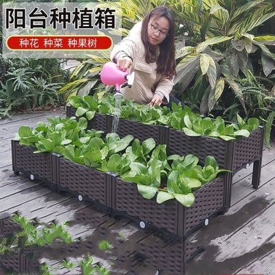 花盆草莓盆栽專用盆圍欄式花盆塑料加厚耐用陽臺室內種~特價家用雜貨