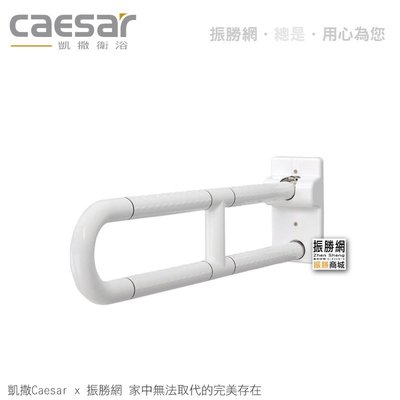 《振勝網》高評價 價格保證 Caesar 凱撒衛浴 GB100N ABS 抑菌活動扶手 浴室安全扶手