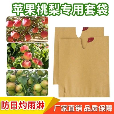 熱賣 水果套袋桃子白枇杷黃桃梨葡萄水蜜桃套袋專用袋紙袋果袋防蟲防鳥