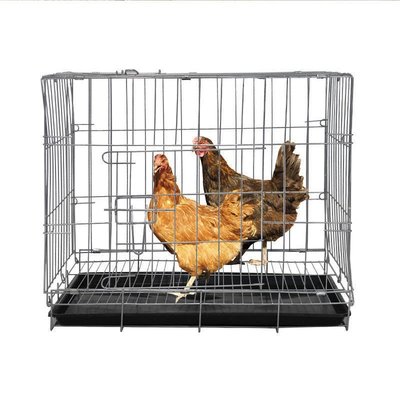 現貨熱銷-雞籠子家用大號包郵養殖籠家用清倉養雞籠子自動滾蛋雞籠子蛋雞籠-特價