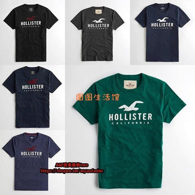 Hollister 男款 刺繡Logo圖案 HCO短袖T恤 海鷗短袖T恤 男短T 短袖T恤 素T 純棉T恤